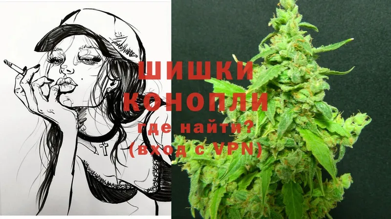 Бошки марихуана THC 21%  Злынка 